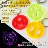 【名入れ 蛍光アクリル キーホルダー】