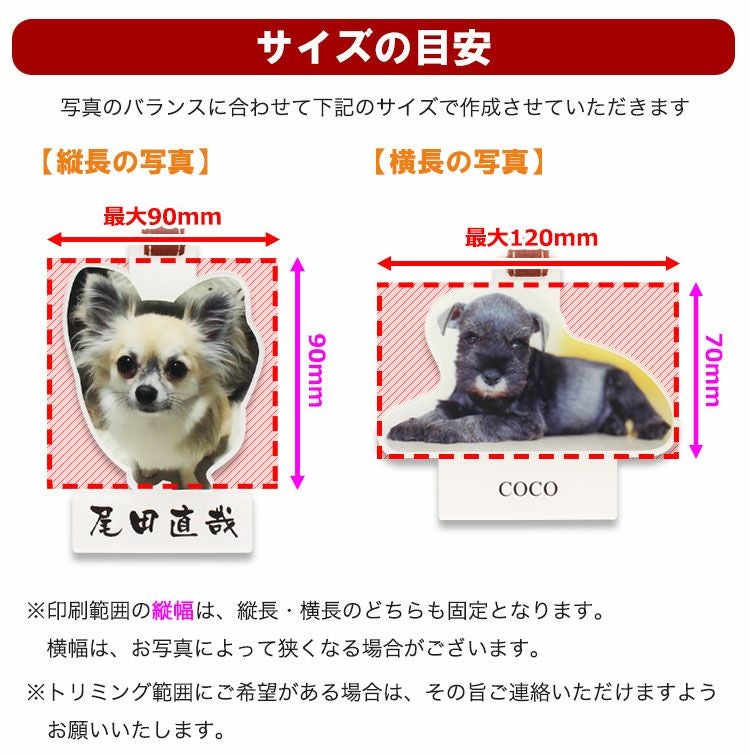 サイズの目安