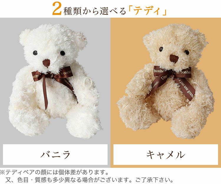 即日発送＞テディベア ぬいぐるみ 【 HugHug テディ ＋ 今治タオル