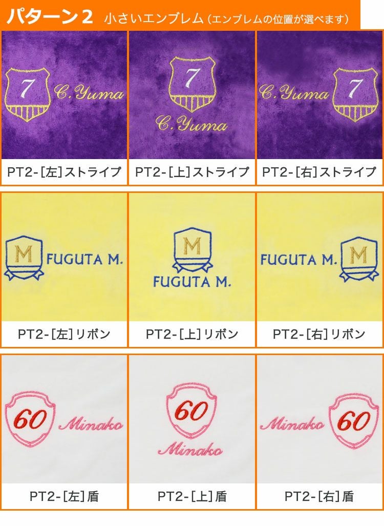 エンブレムデザイン（パターン2）