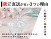 新鮮さと品質の保持