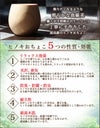 ヒノキおちょこ５つの効能