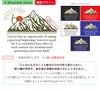 デザイン集3
