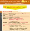 データをプリント・Bタイプ