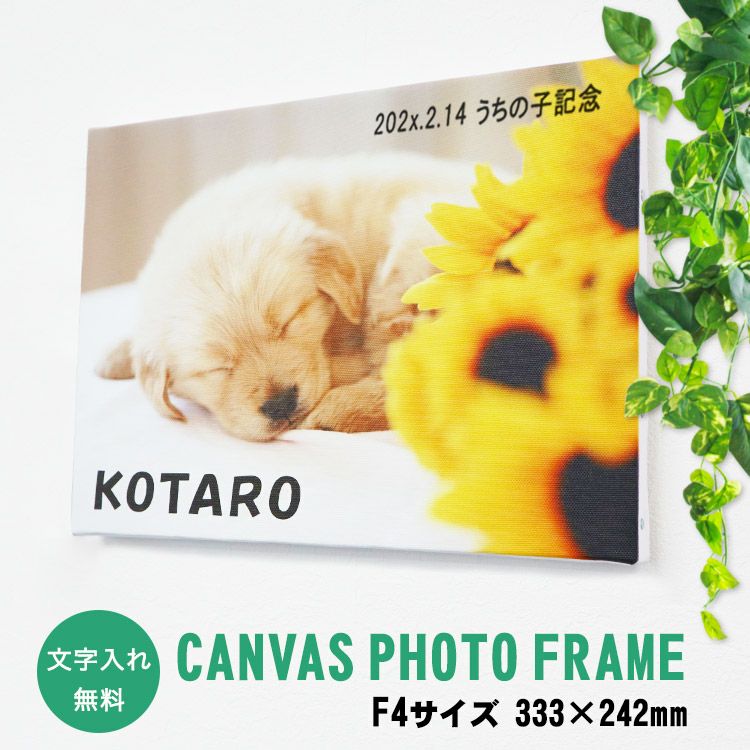 キャンバスフォトフレームF4サイズ