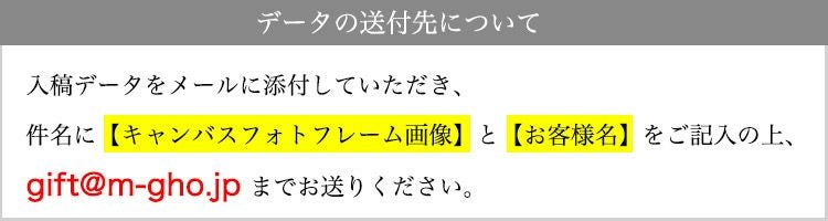送付先アドレス