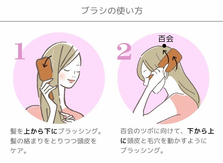 ブラシの使い方