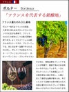 ボルドーについて