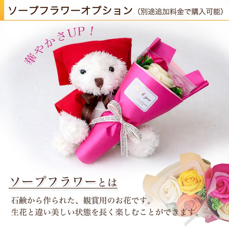 追加オプション